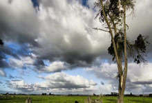 包含里程碑夜！浙江队门线救险，中超今晚刷纪录，质疑声仍在，赛程密集仍需轮换的词条